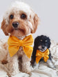 Summer Yellow Velvet Dog Sailor Bow – Handmade in the UK