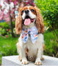 Flower Blossom Dog Sailor Bow – Dog Collar Bow – Handcrafted in the UK