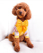 Summer Yellow Velvet Dog Sailor Bow – Handmade in the UK