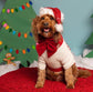 Burgundy Red Velvet Dog Bow – Sailor Bow or Bow Tie