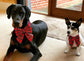 Christmas tartan dog sailor bow