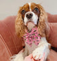 Valentine's day dog bow – Available in sailor bow and bow tie style– Optional to upgrade with matching dog collar