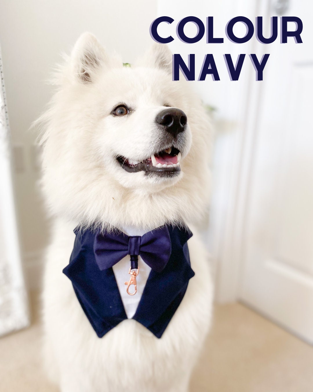 Ivory White Wedding Dog Tuxedo | Wedding Pet Tuxedo Bandana  | Dog Wedding Ring Bearer | Pure White |  Luxury Wedding Pet Attire