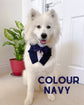 Ivory White Wedding Dog Tuxedo | Wedding Pet Tuxedo Bandana  | Dog Wedding Ring Bearer | Pure White |  Luxury Wedding Pet Attire