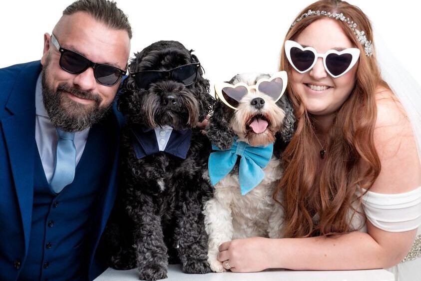 Sky blue velvet dog sailor bow – perfect for wedding, birthday, engagement party – handmade in the UK