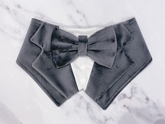 Grey Velvet Wedding Dog Tuxedo | Wedding Pet Tuxedo Bandana  | Optional Upgrade to Dog Ring Bearer | Dark Grey |  Luxury Wedding Pet Attire