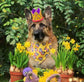 Easter Dog Bandana – Yellow Easter Egg Dog Scarf  – Yellow Spring Dog Bandana – Girl or boy dog bandana – Puppy dog bandana