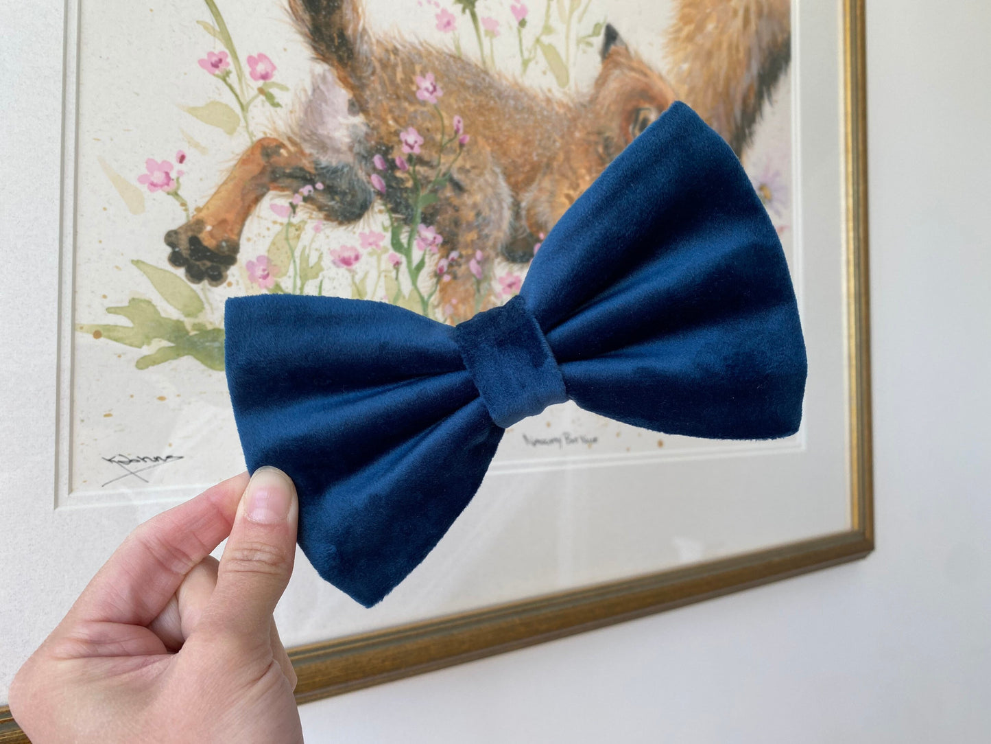 Marine blue velvet dog bow – Available in sailor bow and bowtie(no tails) perfect for wedding, birthday, engagement party
