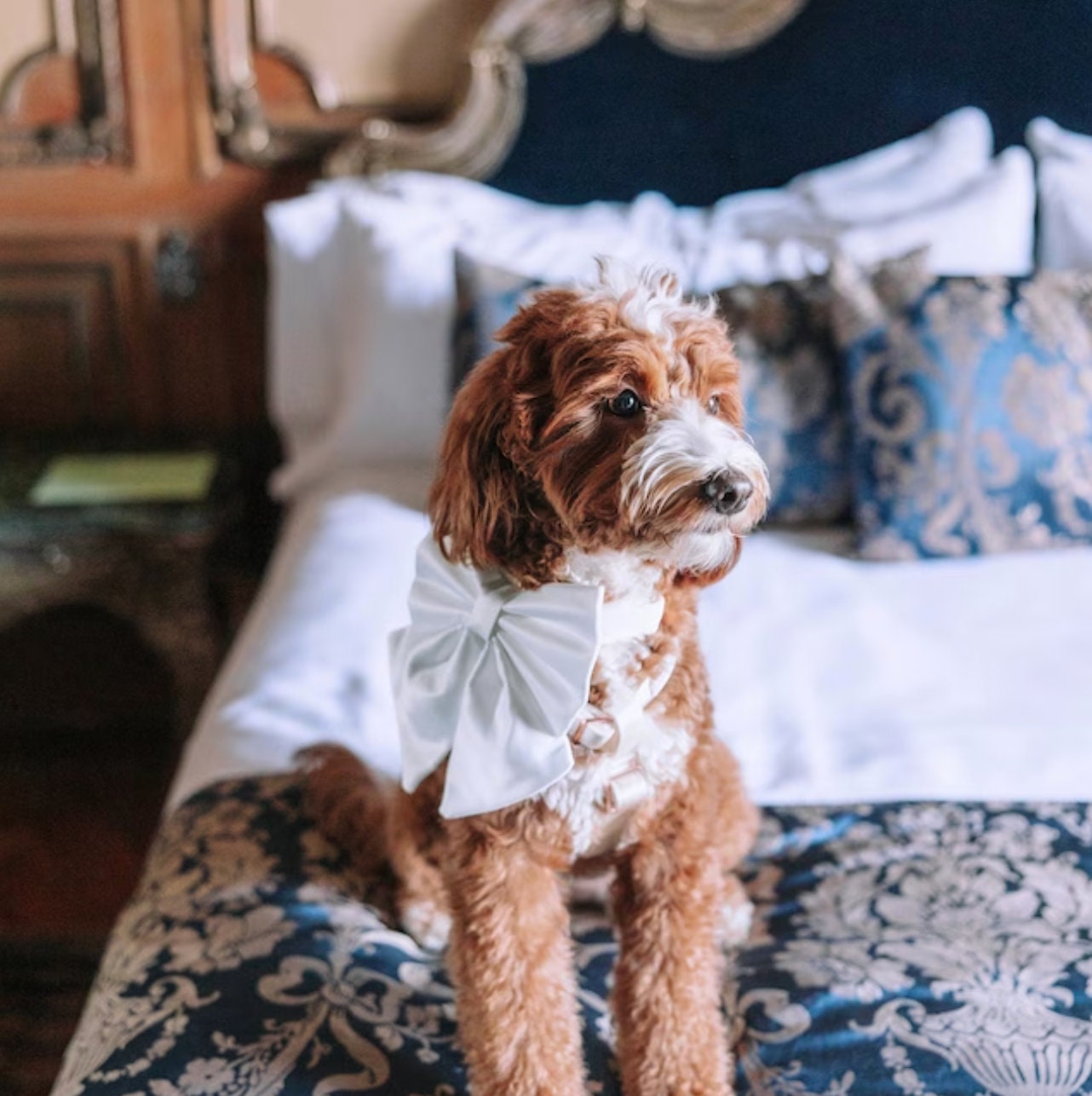 Ivory Wedding Dog Bow, Silk Satin, Bow Tie or Sailor Bow