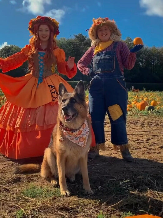 Autumn Pumpkin Dog Bandana – Pumpkin Patches Pet Bandana – Boho pet bandana – Snap On Bandana