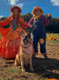 Autumn Pumpkin Dog Bandana – Pumpkin Patches Pet Bandana – Boho pet bandana – Snap On Bandana