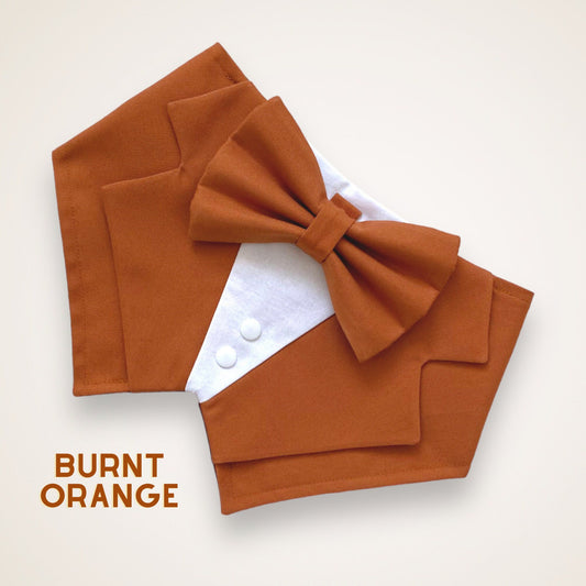 Terracotta Dog Wedding Tuxedo Bandana, Ring Bearer Attire for Pup of Honour