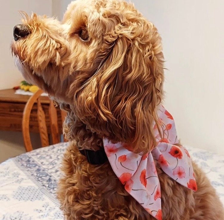 Pink Poppy Flower Dog Bow, Available in Bow Tie and Sailor Bow Styles