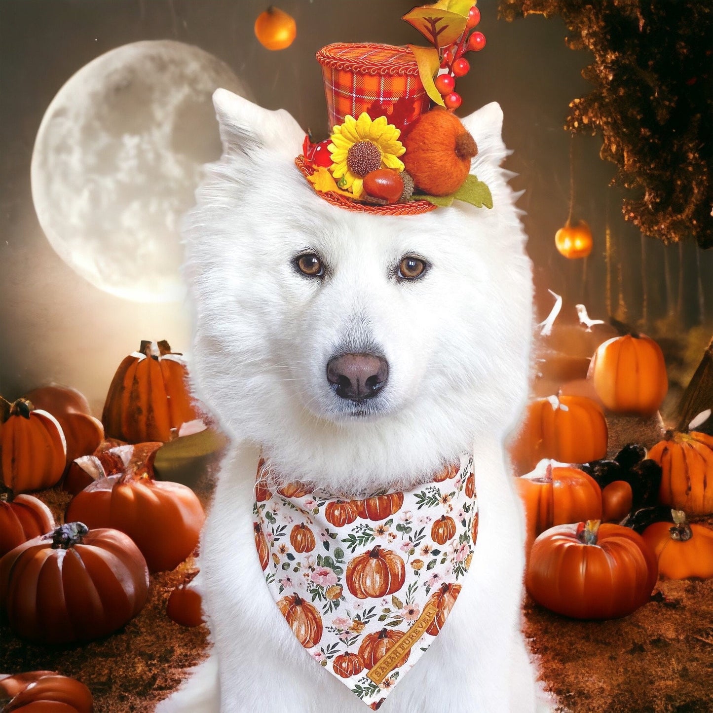 Autumn Pumpkin Dog Bandana – Pumpkin Patches Pet Bandana – Boho pet bandana – Snap On Bandana