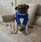Royal Blue Dog Tuxedo Bandana, Wedding Ring Bearer Pet Attire