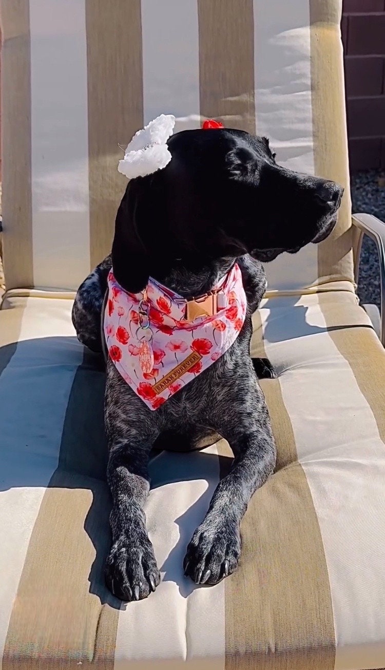 Remembrance Day Poppy Dog Bandana – Wildflower Poppy Pet Bandana – Girl Puppy Dog Bandana