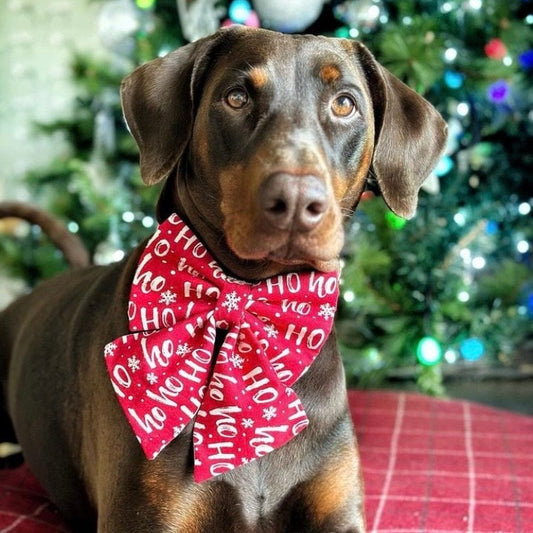 Christmas Dog Sailor Bow – Red "Ho Ho Ho" Cotton