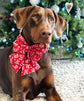 Christmas Dog Sailor Bow – Red "Ho Ho Ho" Cotton