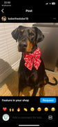 Christmas Dog Sailor Bow – Red "Ho Ho Ho" Cotton