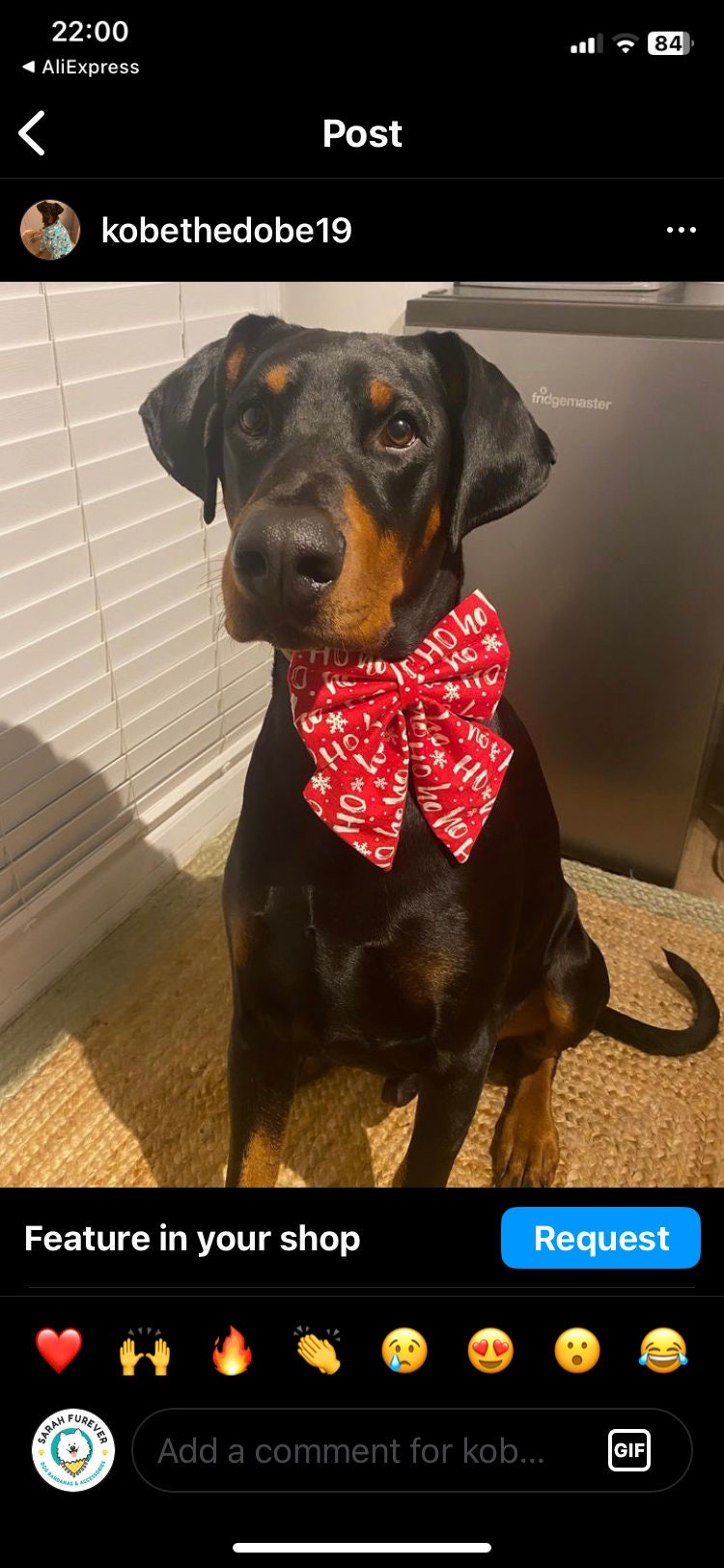Christmas Dog Sailor Bow – Red "Ho Ho Ho" Cotton