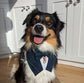 Black Watch Tartan Dog Tuxedo Bandana, Scottish Checks Dog Waistcoat for Clan Campbell