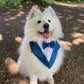 Navy Blue Wedding Dog Tuxedo Bandana: Handmade Pet Ring Bearer Outfit