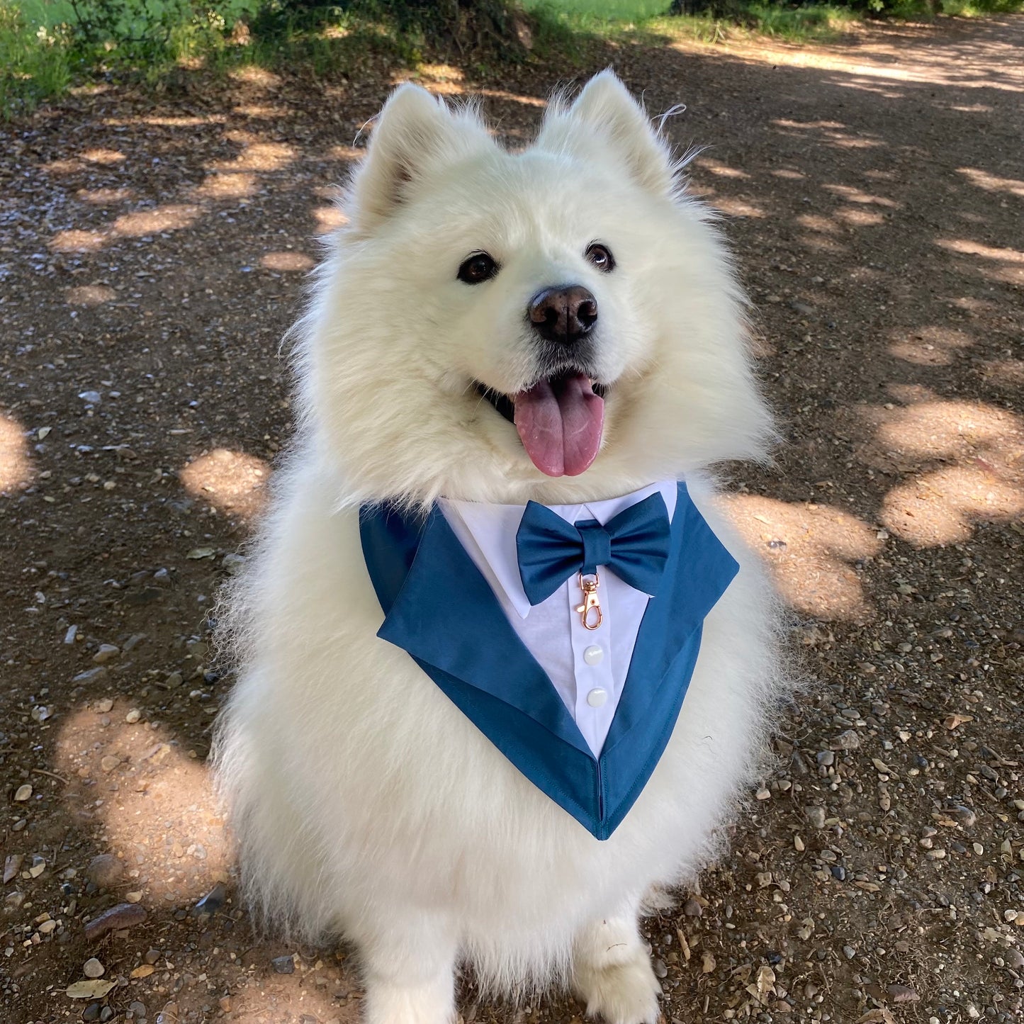 Navy Blue Wedding Dog Tuxedo Bandana: Handmade Pet Ring Bearer Outfit