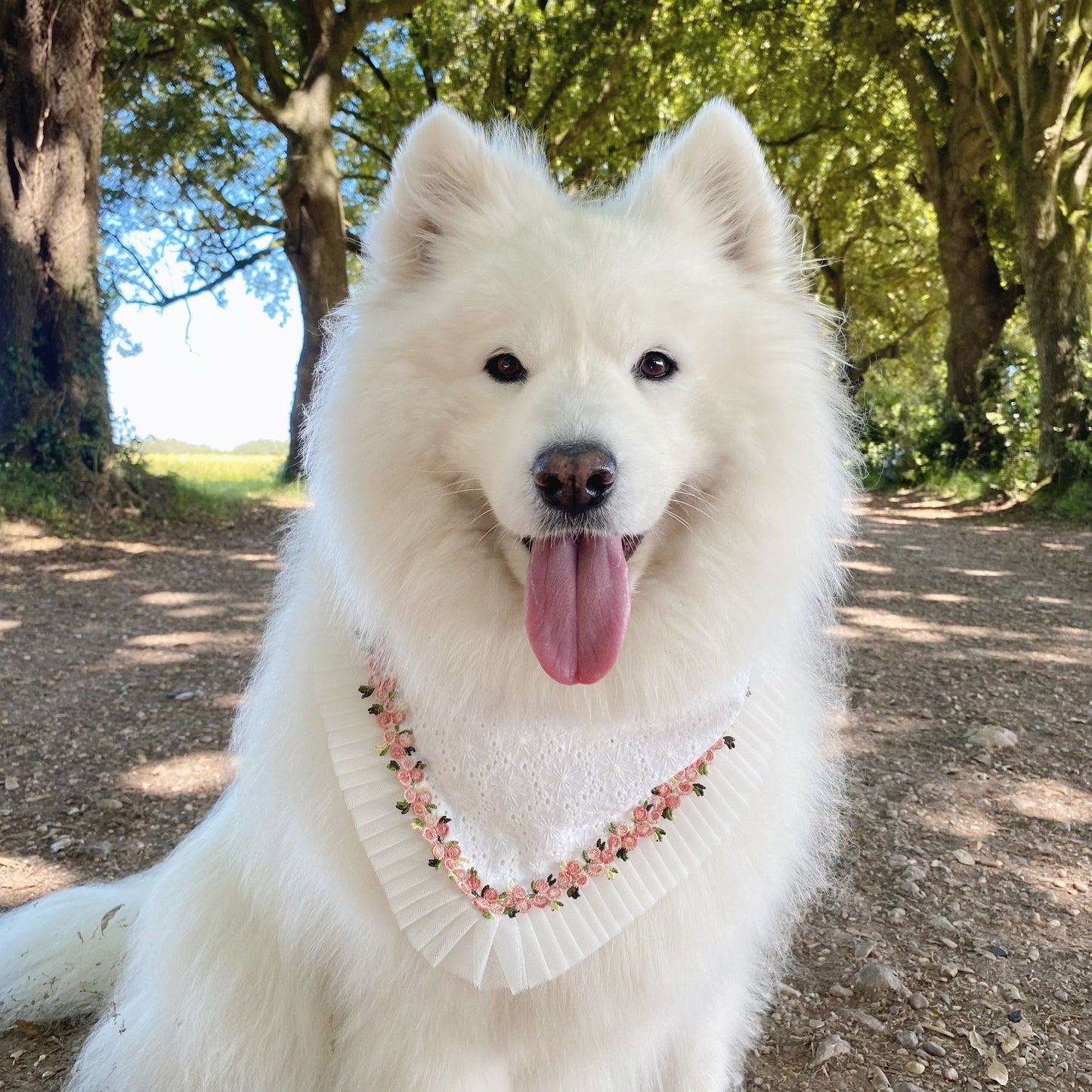 Wedding Dog Bandana for girl pup,  White Wedding Dog Bandana, Flower Girl Dog Bandana, wedding girl pup suit, flower girl pup wedding attire