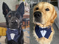 Navy Blue Wedding Dog Tuxedo Bandana, Ring Bearer Outfit For Pets