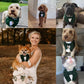 Dark Green Wedding Dog Tuxedo Bandana: Formal Outfit for Pup Ring Bearer