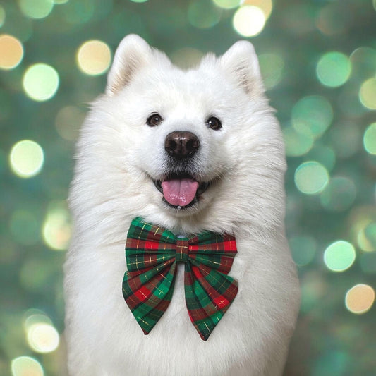 Christmas Tartan Dog Sailor Bow: Red and Green Plaid Pet Accessory