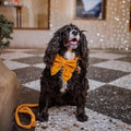 Handmade Mustard Velvet Dog Bow Tie or Sailor Bow