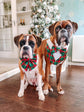Christmas Tartan Dog Sailor Bow: Red and Green Plaid Pet Accessory