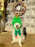 Green Velvet dog sailor bow – perfect pet bow for Christmas – New Year – Wedding – handmade in the UK