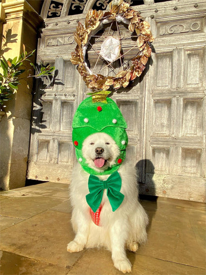 Green Velvet dog sailor bow – perfect pet bow for Christmas – New Year – Wedding – handmade in the UK