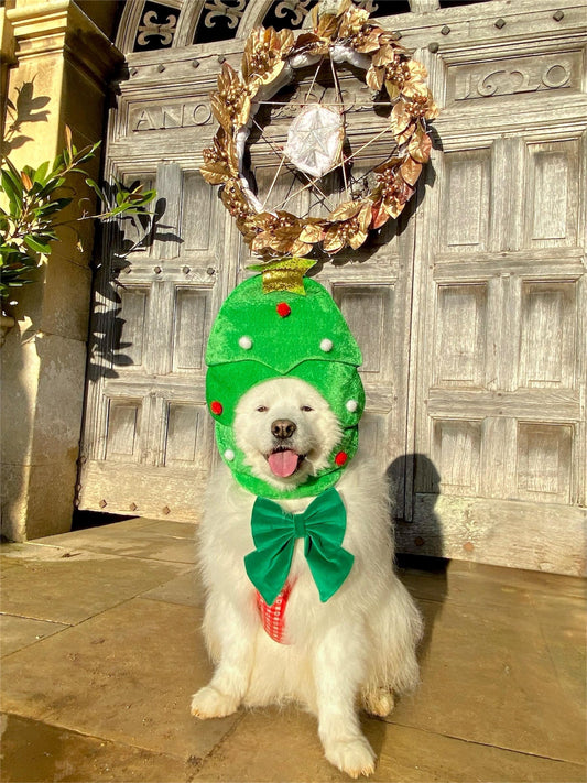 Green Velvet dog sailor bow – perfect pet bow for Christmas – New Year – Wedding – handmade in the UK