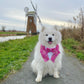 Pink Tartan Dog Tuxedo Bandana with Bow Tie