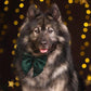 Dark Green Velvet Dog Bow Tie or Sailor Bow: Handmade Pet Collar Accessory