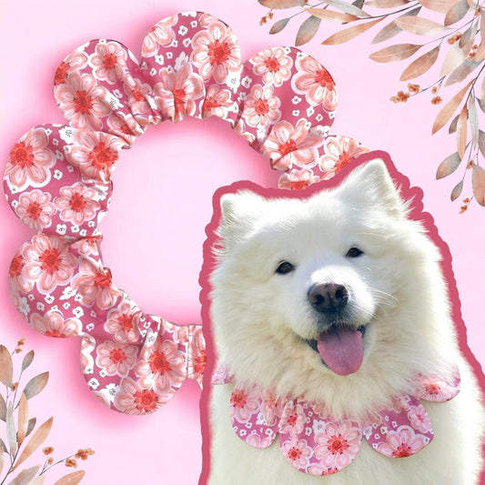 Pink Dahlia Flower Dog Bandana
