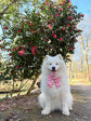 Pink Dahlia Flowers Dog Bow, Pink Floral Dog Bow, Available in Sailor bow and Bow Tie Style, Spring and Summer Dog Bow, Big Dog Bows