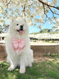 Pink Floral Dog Sailor Bow: Wedding Pet Accessory for Girl Pup