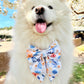 Flower Blossom Dog Sailor Bow – Dog Collar Bow – Handcrafted in the UK