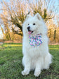 Purple Daisy Dog Bow for Spring: Bowtie or Sailor Bow