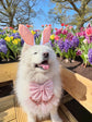 Pink Floral Dog Sailor Bow: Wedding Pet Accessory for Girl Pup