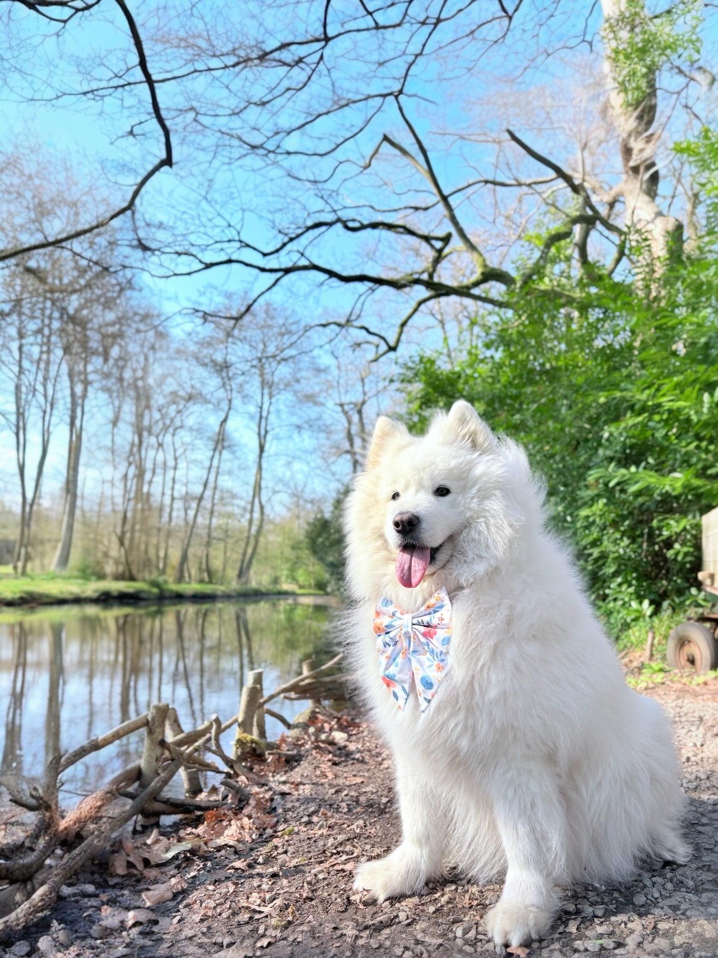 Flower Blossom Dog Sailor Bow – Dog Collar Bow – Handcrafted in the UK