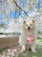 Pink Floral Dog Sailor Bow: Wedding Pet Accessory for Girl Pup