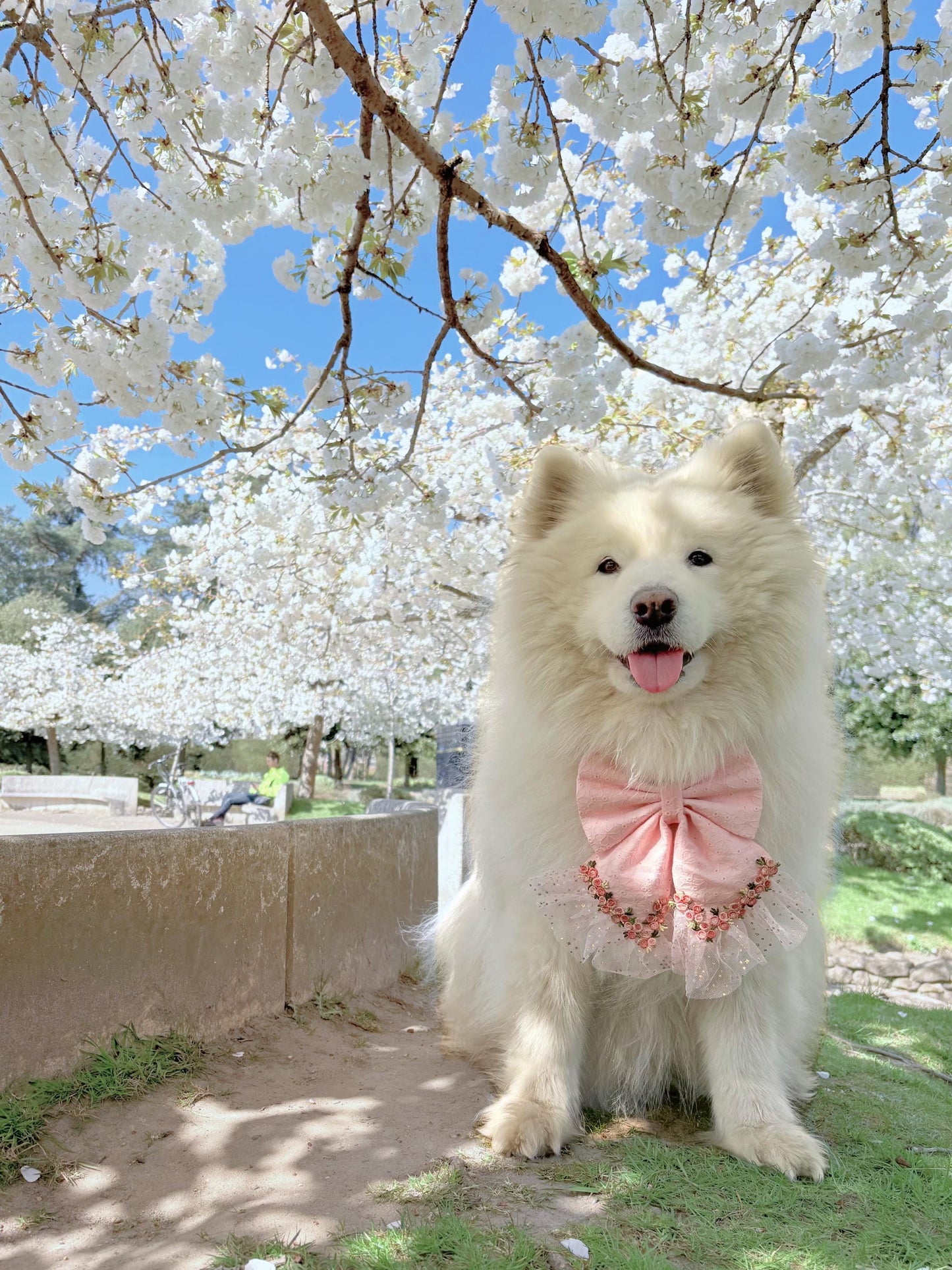 Pink Floral Dog Sailor Bow: Wedding Pet Accessory for Girl Pup