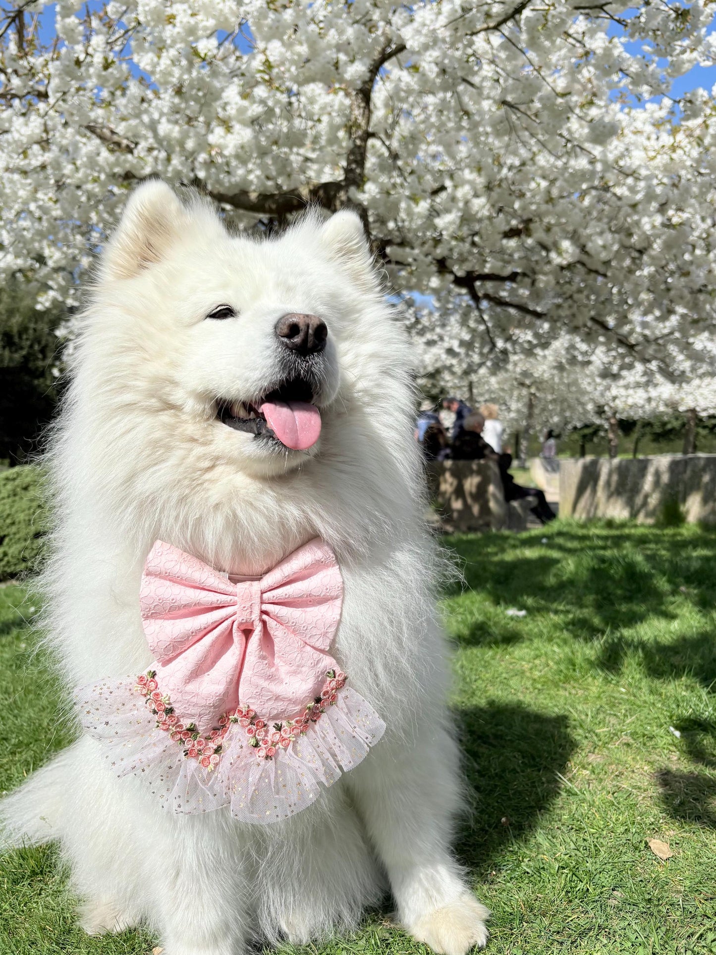 Pink Floral Dog Sailor Bow: Wedding Pet Accessory for Girl Pup