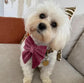 Dusty Pink velvet dog bow, available in sailor bow and bow tie styles, optional with matching collar, dusky rose velvet dog bow collar