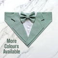 Sage Green Dog Tuxedo Bandana: Wedding Ring Bearer Outfit, Handmade in Norfolk